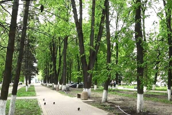 В Брянске к 1 июня благоустроят сквер энергетиков