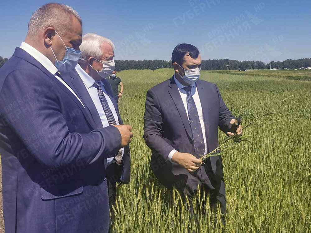 Директор департамента Минсельхоза посевы сельхозкультур мероприятия «День поля-2021» осмотрел