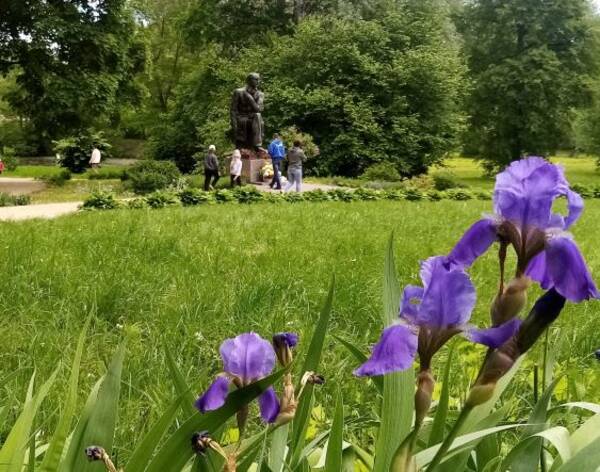 День поэзии, посвященный творчеству Федора Тютчева, в брянском Овстуге состоялся