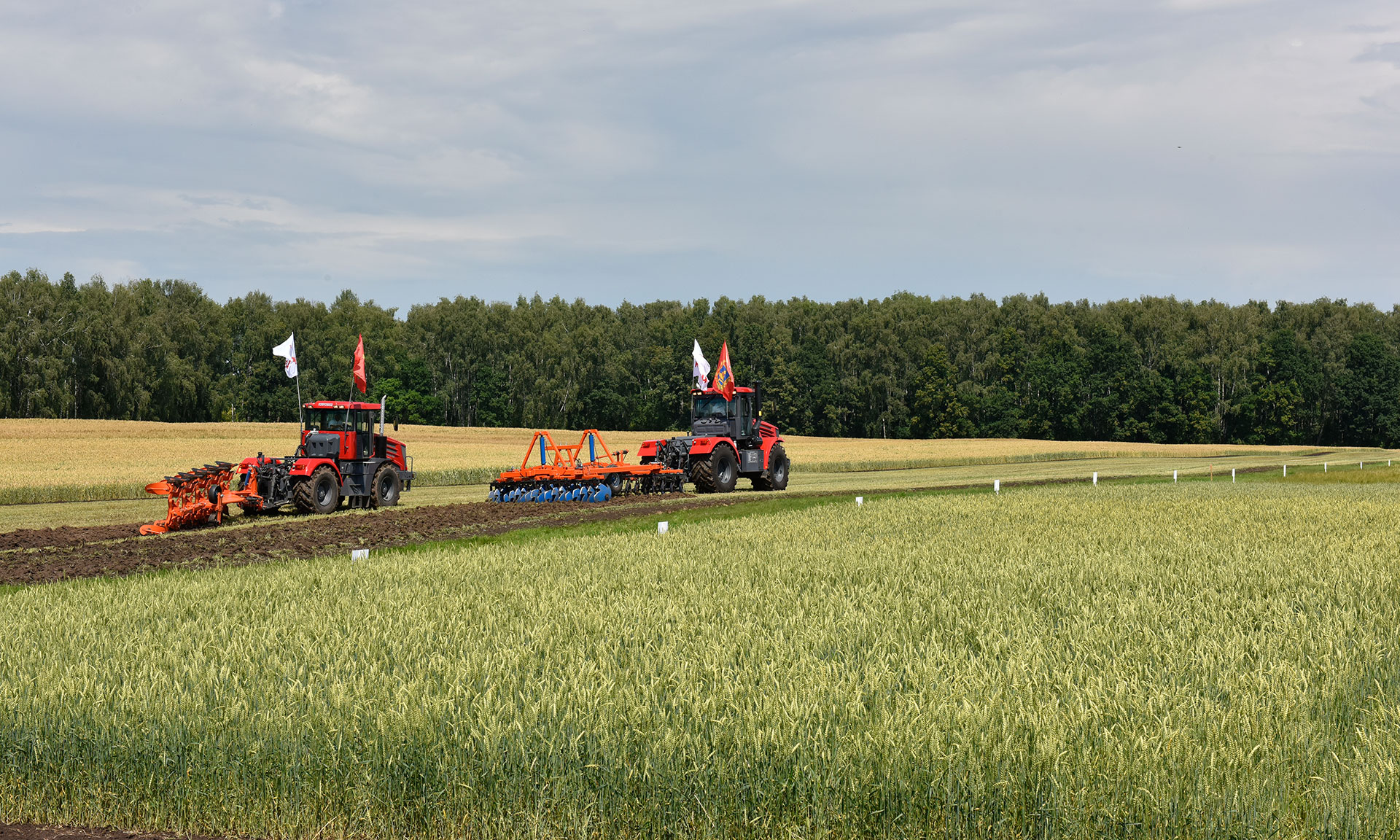 Контроль Управления Россельхознадзора за сохранением и воспроизводством почвенного плодородия на территории регионов
