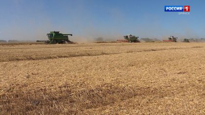 Агрохозяйства Брянщины приступили к уборке зерновых