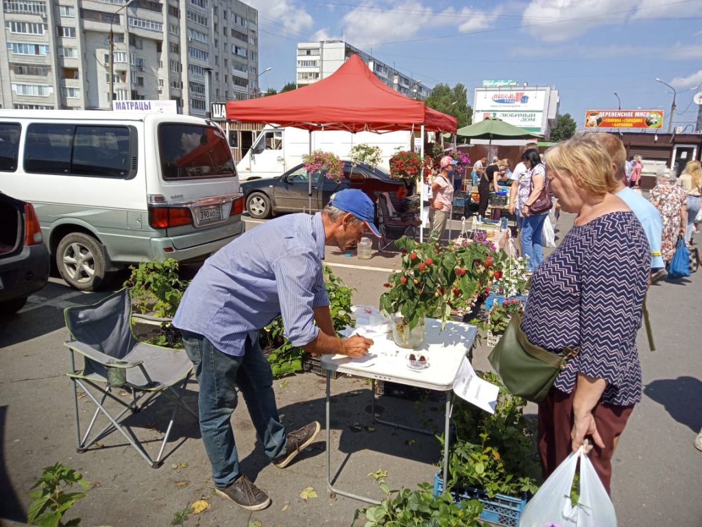 Ярмарки выходного дня работают на Брянщине