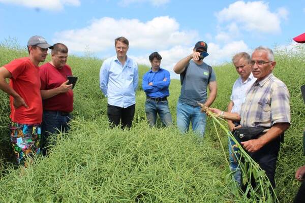 В Стародубском округе завершился аграрный семинар с участием специалистов из Беларуси