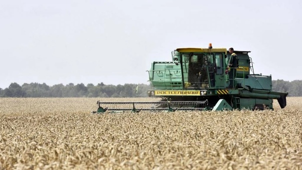 Брянской области выделили на развитие сельских территорий 150 млн рублей