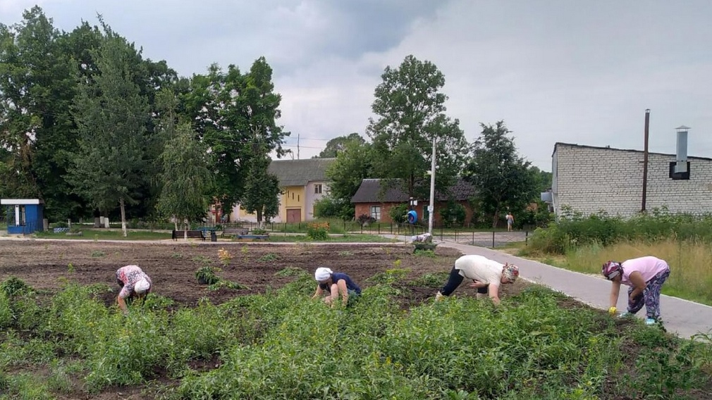 В брянском селе Смолевичи активисты привели в порядок Сквер Победы
