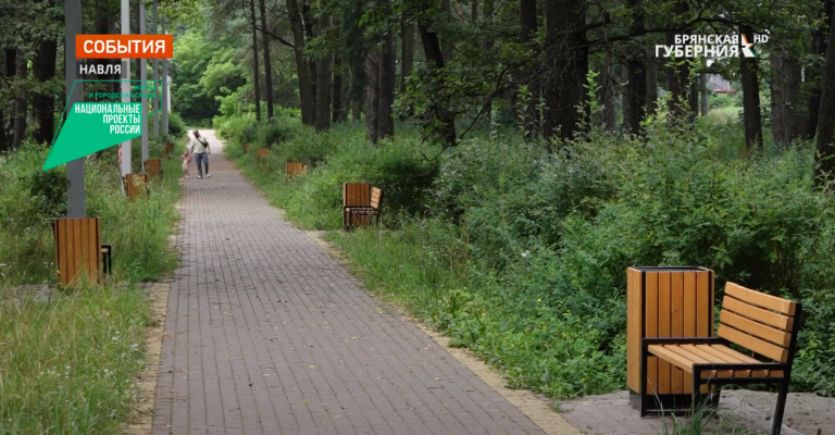 В брянской Навле в рамках нацпроекта обновили парк за 2,4 млн рублей