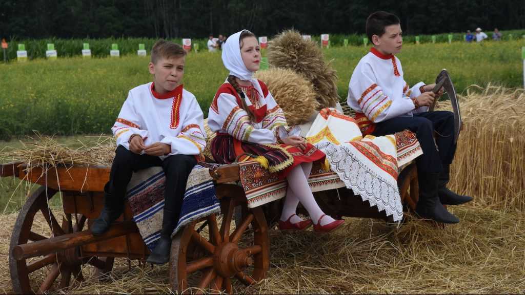 Брянские семьи со 2 августа начнут получать на детей «путинские» 10 тысяч рублей