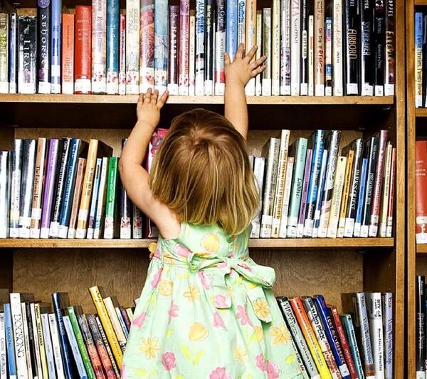 Детская библиотека  в брянском Погаре получит  деньги на модернизацию