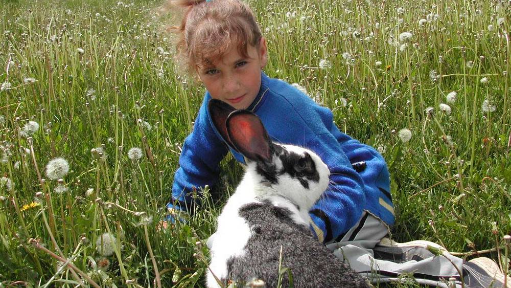 На Брянщине построят кролиководческие фермы за 1,9 млрд рублей