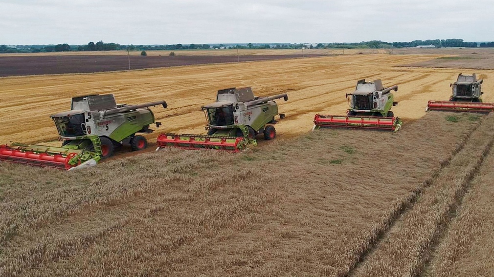 Брянщина находится в тройке лидеров по урожайности зерновых культур в РФ