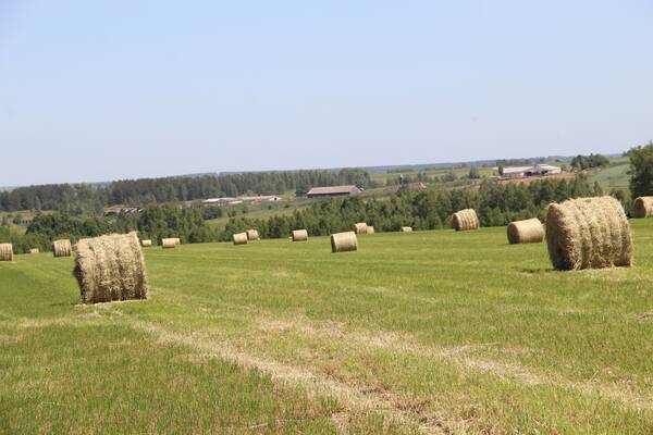 Брянская область примет участие  во Всероссийском дне поля