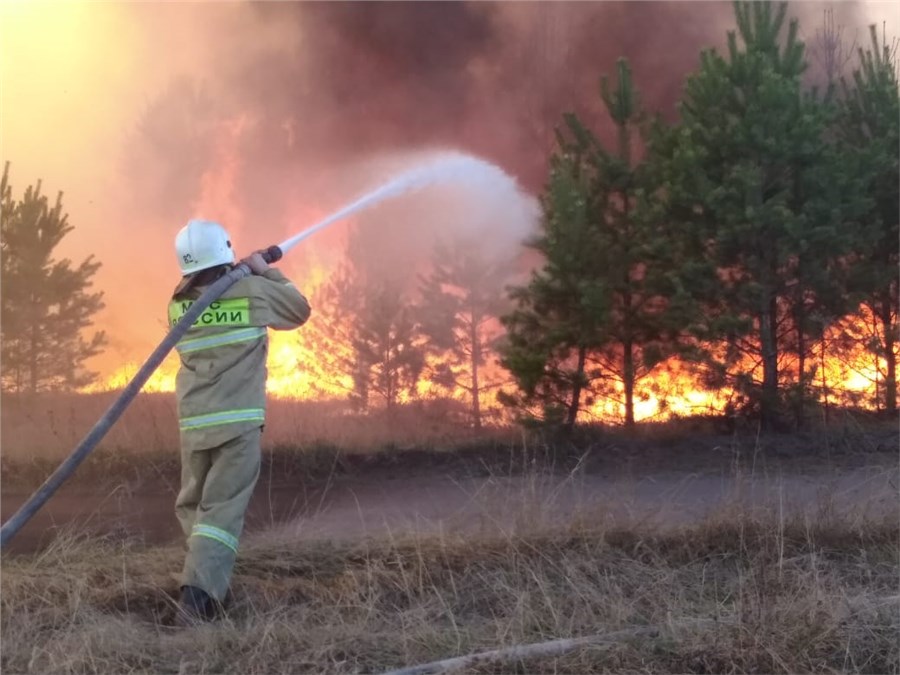 МЧС. Увеличение природных пожаров