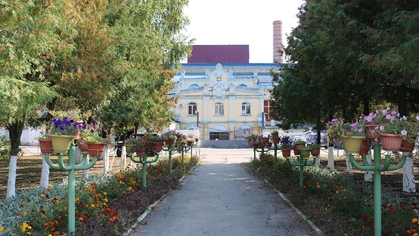 Лопандинский сахарный завод вошел в нормальный режим работы