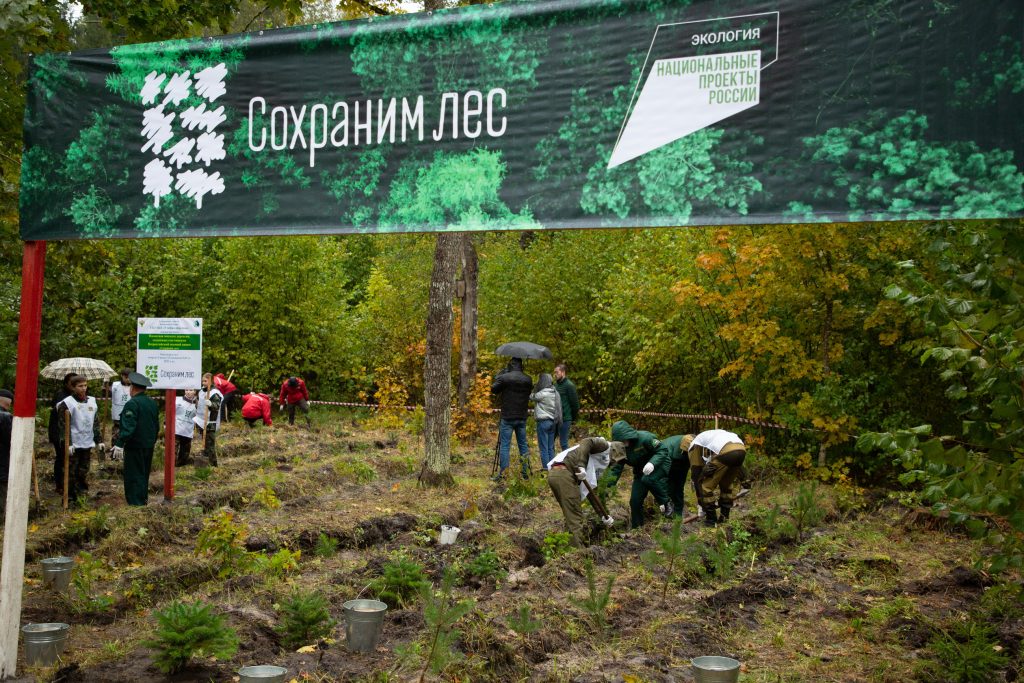 Под Брянском в память о героях-партизанах высадили более 100 саженцев