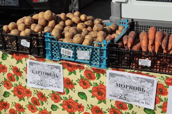 102 тонны овощей и фруктов раскупили в  Брянске на ярмарках выходного дня