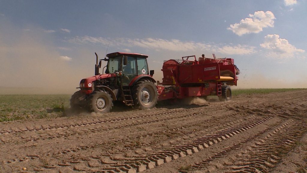 В Брянске будут чествовать работников сельского хозяйства