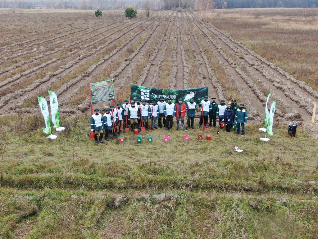 ПЯТЬ ГЕКТАРОВ ДУБОВОЙ РОЩИ ЗАЛОЖИЛИ В НОВОЗЫБКОВСКОМ РАЙОНЕ БРЯНЩИНЫ