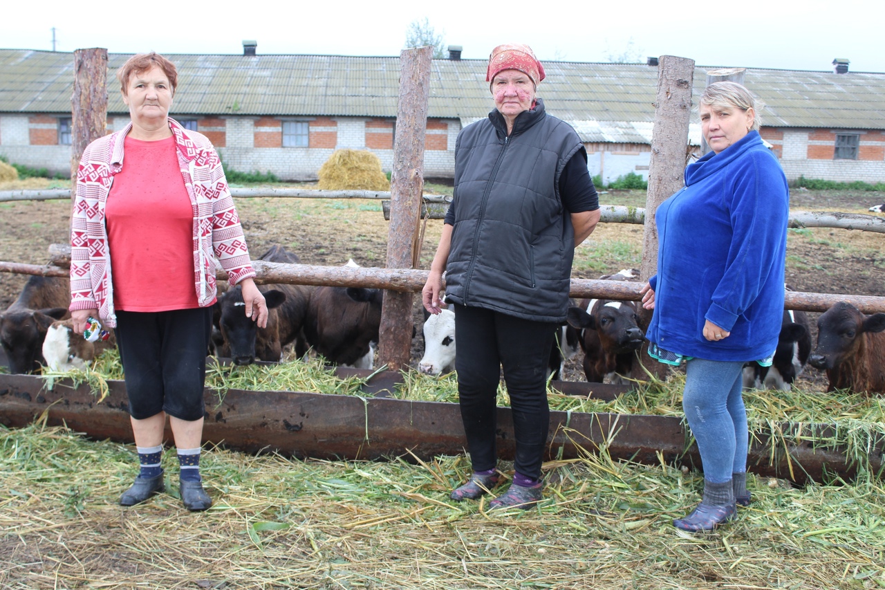 Очень нужные профессии