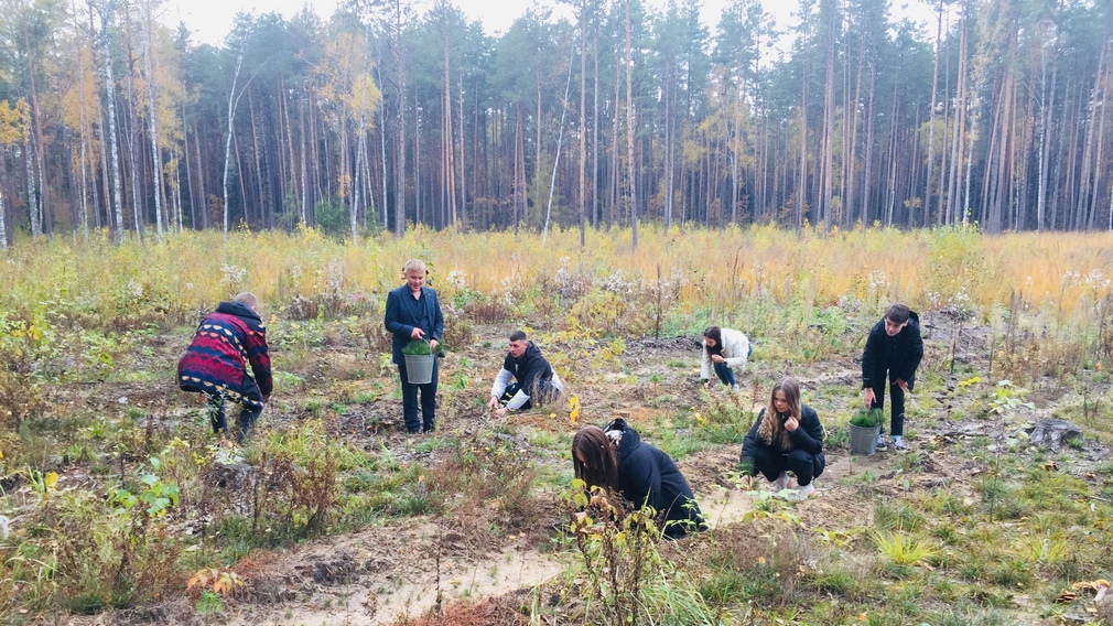 Итоги проекта «Сохраним лес» подвели на Брянщине