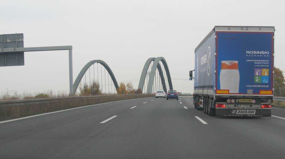 Брянская продукция животноводства поставят на экспорт в 30 с лишним стран