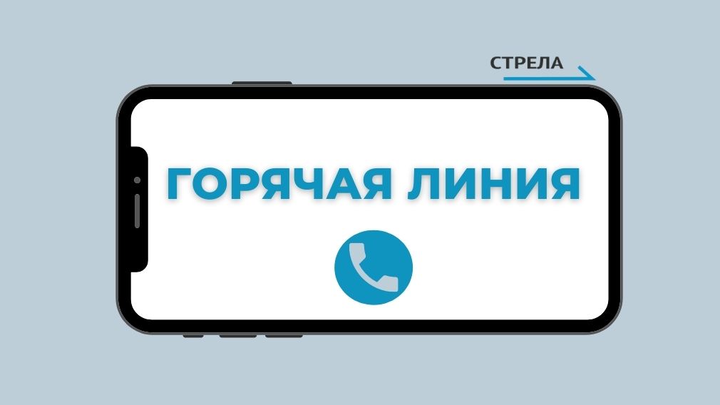 По вопросам образования можно обратиться на «горячую линию»