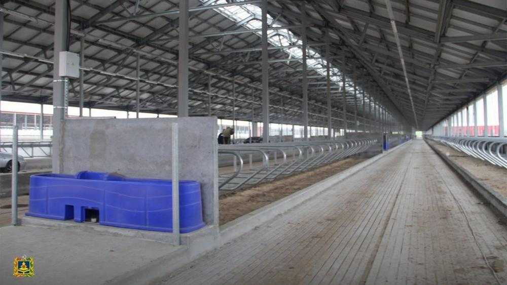 Брянская область получит из Москвы 35,2 млн рублей на молочные фермы