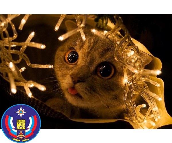 Карачевское МЧС призывает быть  осторожными с гирляндами