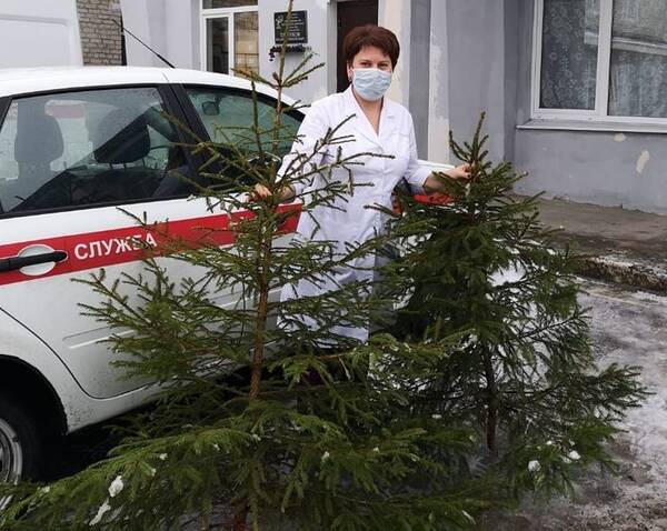 Медучреждения Брянщины получат новогодние елки от лесничеств