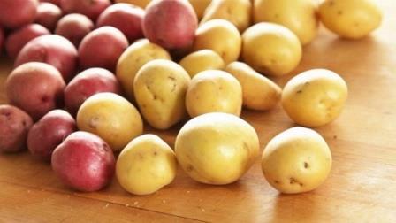 Погарская картофельная фабрика экспортирует свою продукцию в более 20 стран мира