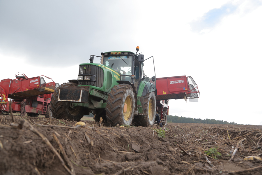 На Брянщине в 2021 году в сельхозоборот ввели 300 тысяч га заросших земель