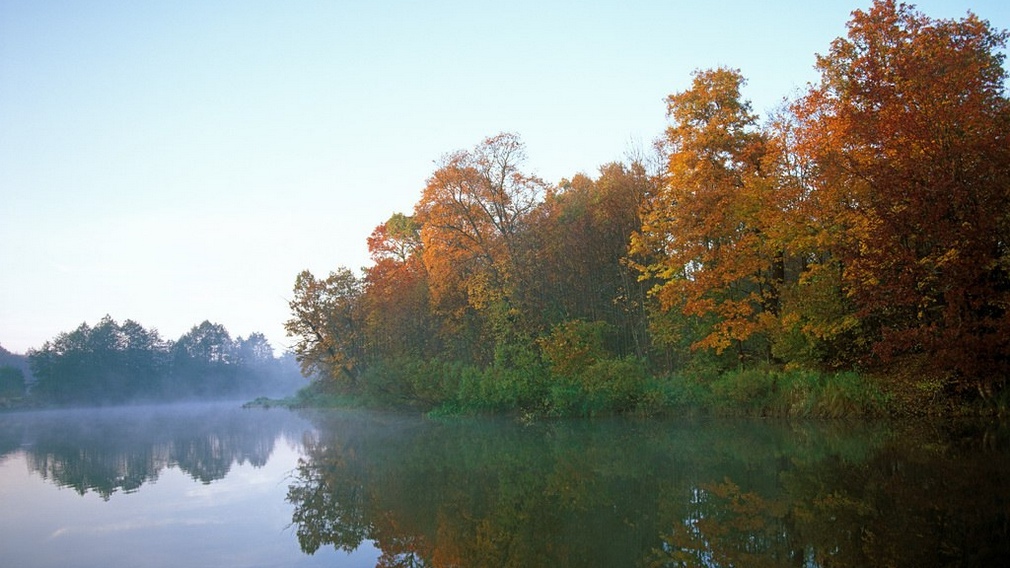 В Брянской области  нацпроект «Экология» реализуется