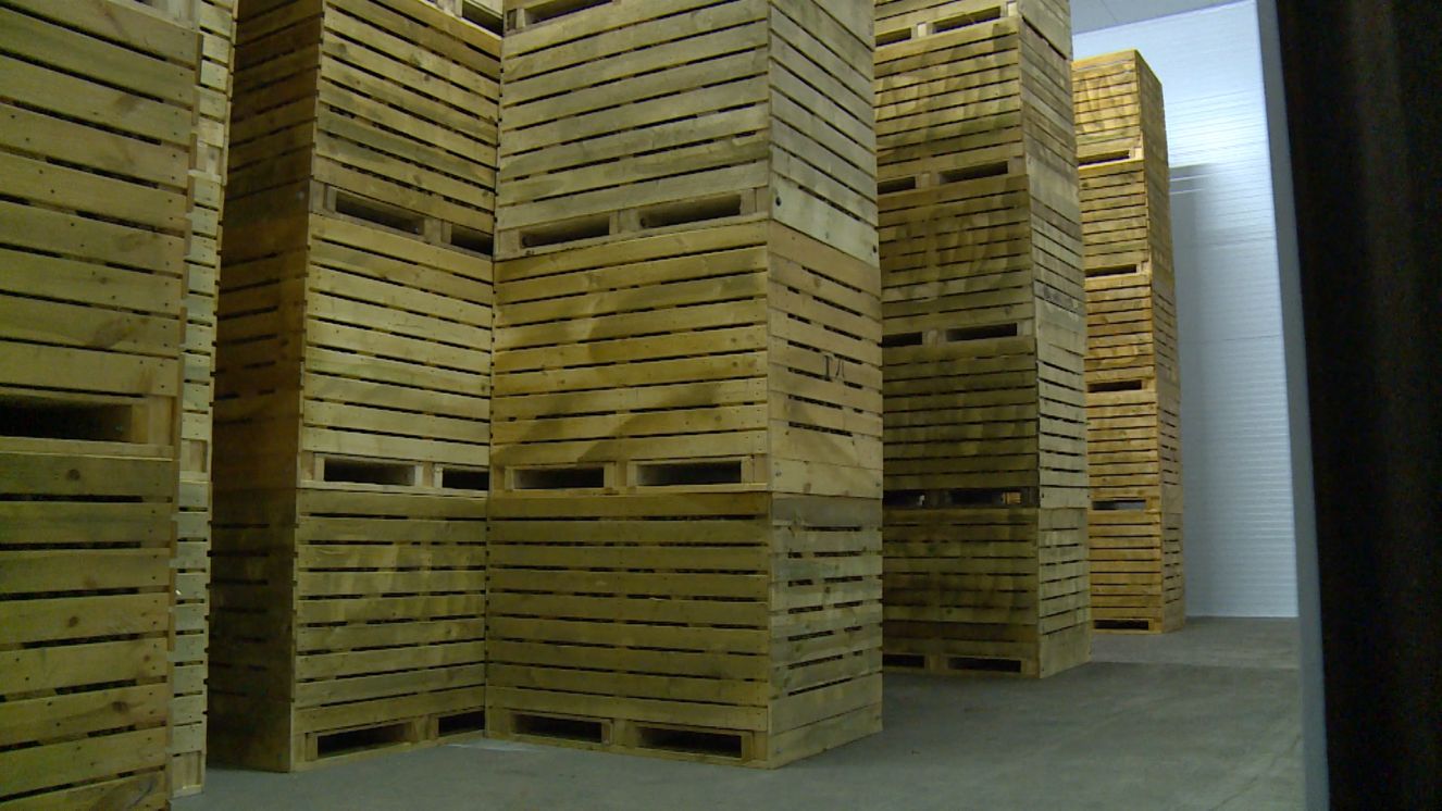 В Брянской области 6 комплексов овощехранилища построят