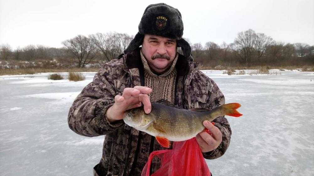 В Брянской области планируют развить промышленное разведение рыбы