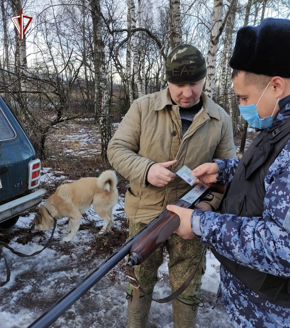 Подведены итоги операции «Браконьер» на Брянщине
