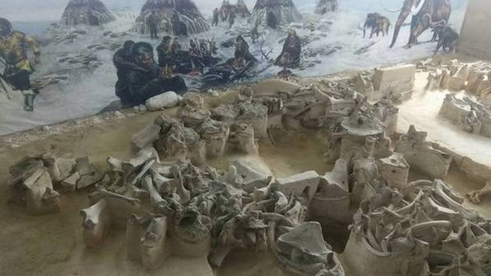 В Брянской области реконструируют здание «Палеолит» Юдиновского историко-археологического музея