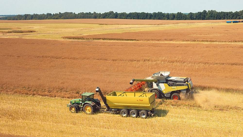 В Брянской области в 2022 году увеличат площади под зерновыми и картофелем