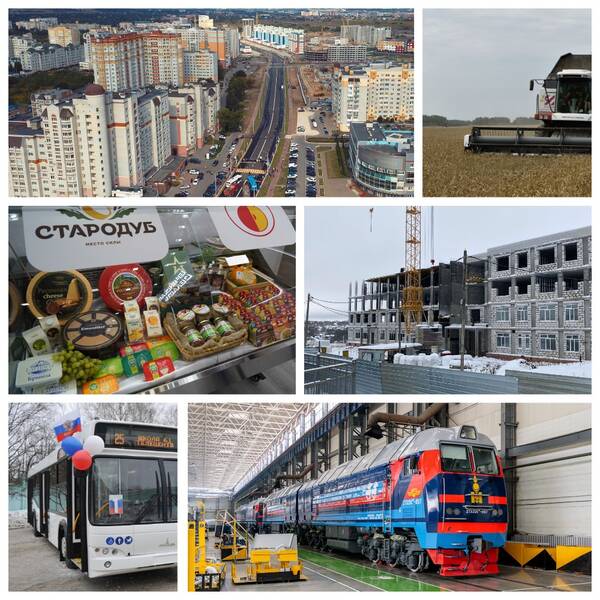 Рост экономики Брянщины обеспечили 4 главных направления