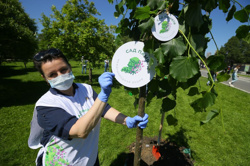 Брянская область вновь примет участие в международной акции «Сад памяти»