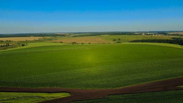 На Брянщине «Мираторг» в этом году засеет 363,6 тысяч га полей