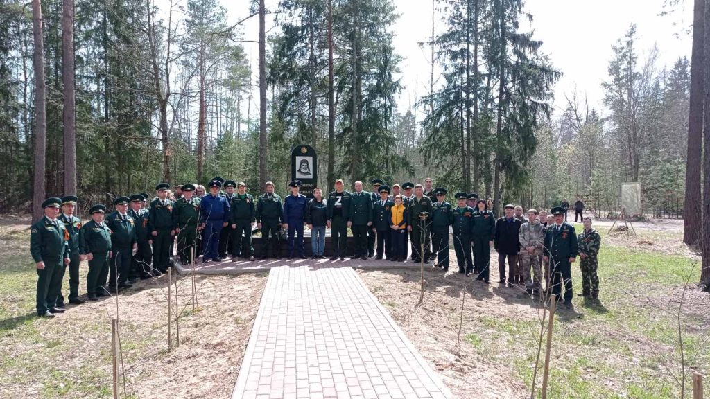 В Брянской области высадили тысячи саженцев в виде букв Z и V