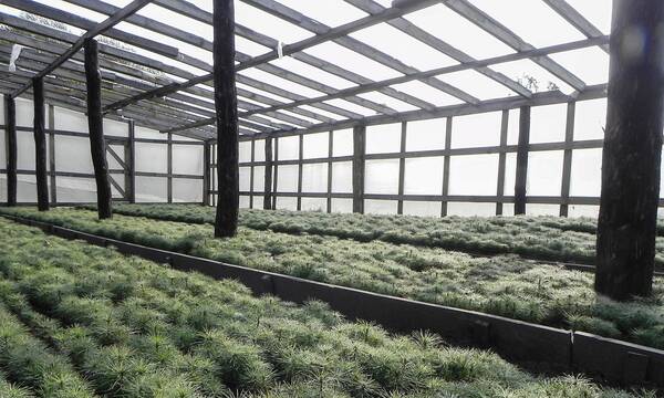 На Брянщину до 20 июля прибудут 9 единиц лесопожарной техники