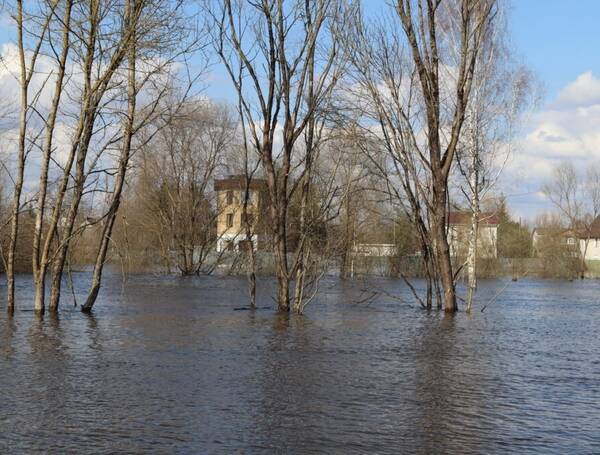 Финансовую помощь окажут жителям Брянщины, пострадавшим от паводка
