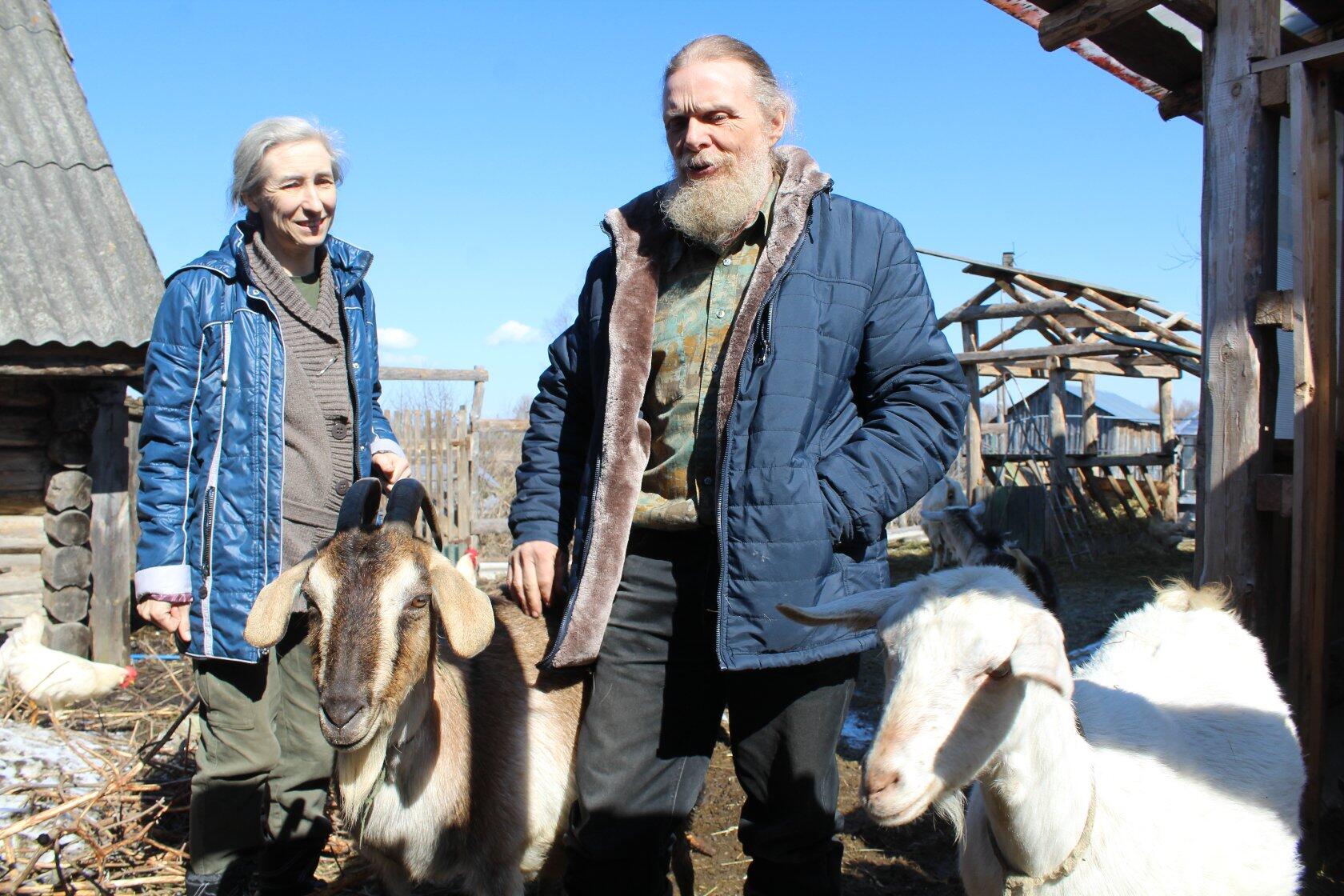 Жизнь без суеты