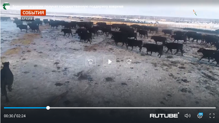 Аграрии Брянщины получат государственную поддержку в ближайшие месяцы