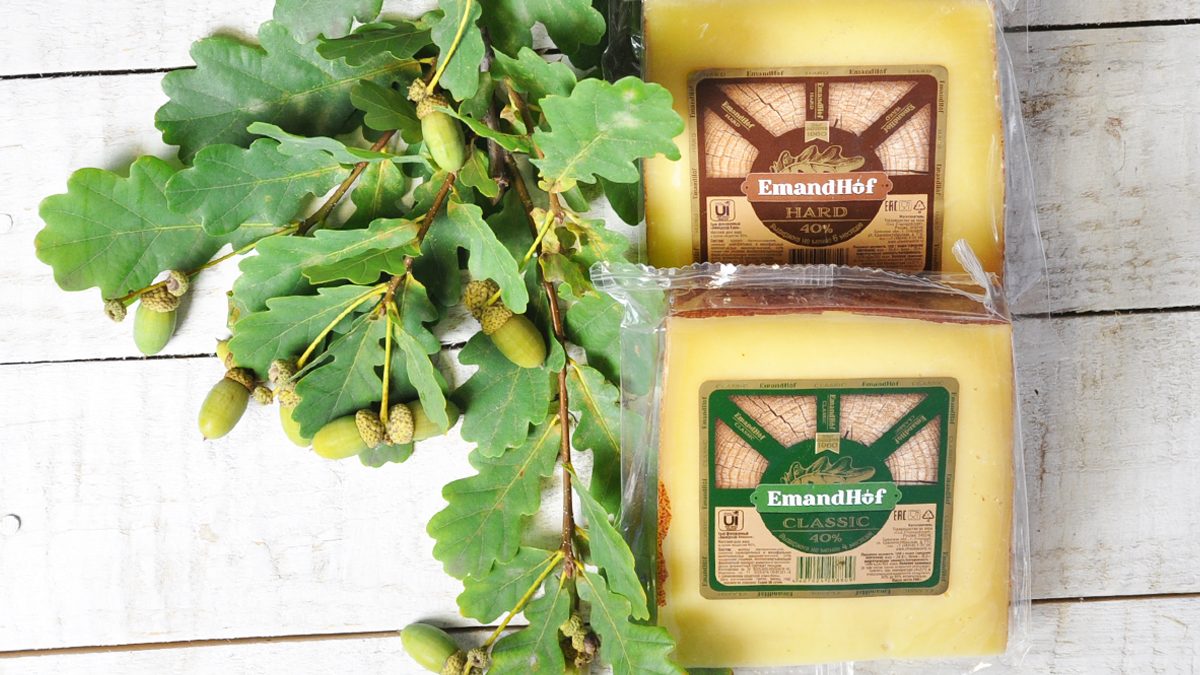 Стародубские сыроделы участвуют в программе импортозамещения