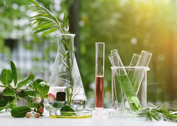 В Брянском госуниверситете состоялся IV Всероссийский химический диктант