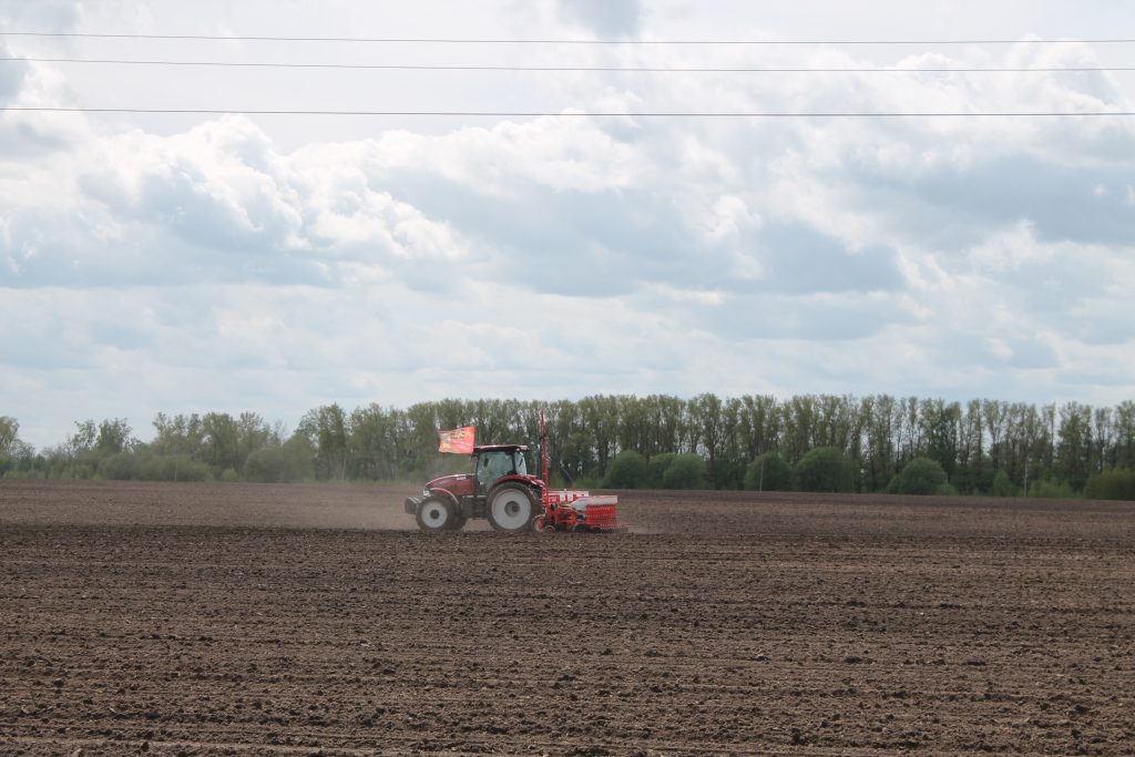 В хозяйствах Брянщины яровыми планируют засеять более 400 тысяч гектаров