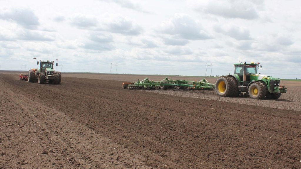 В Брянской области яровыми засеяли 82% площадей от плана