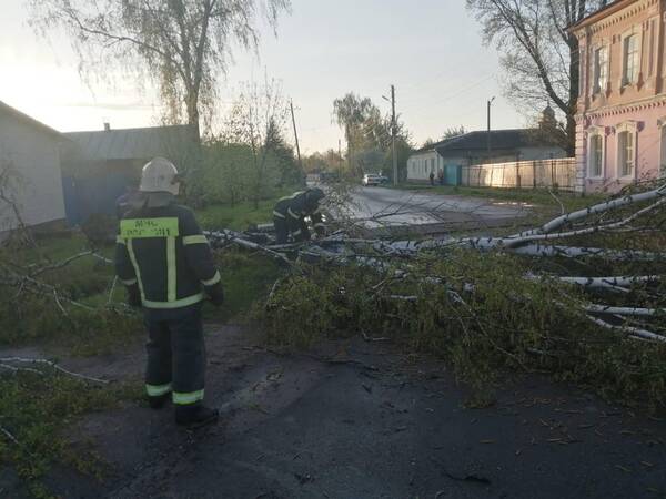 В Брянской области ликвидируют последствия урагана