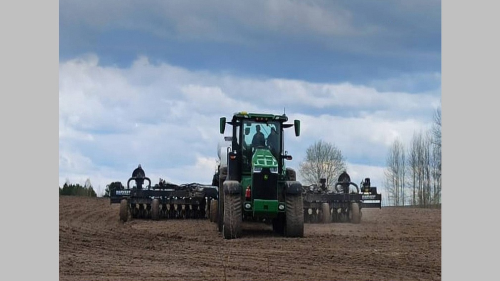 В Брянской области яровые культуры посеяны на 87% от плана
